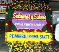 BPS-0077NF
