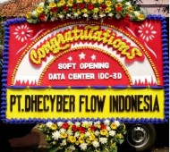 BPS-0090NF