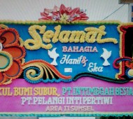 BPS-0101NF
