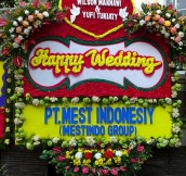 BPW-0127NF