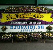 BPC-0145NF