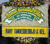 BPC-0151NF