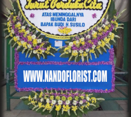 BPC-0153NF