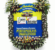 BPC-0155NF