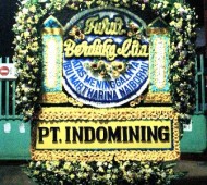 BPC-0157NF