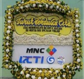 BPC-0164NF