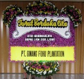BPC-0165NF