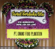BPC-0165NF