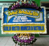 BPC-0173NF
