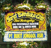 BPC-0176NF