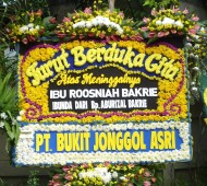 BPC-0176NF