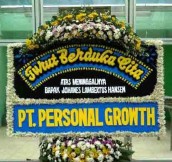 BPC-0177NF