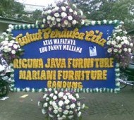 BPC-0183NF