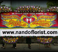 BPC-0191NF