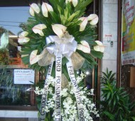 ST-0054NF
