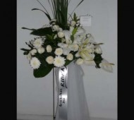 ST-0079NF