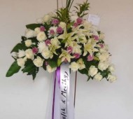 ST-0083NF