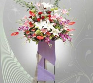 ST-0085NF