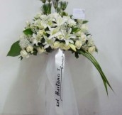 ST-0087NF