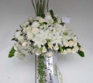 ST-0088NF