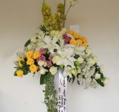 ST-0095NF