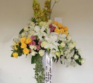 ST-0095NF