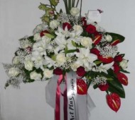 ST-0098NF