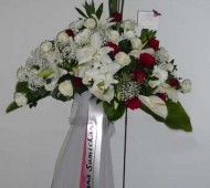 ST-0102NF