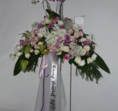 ST-0103NF